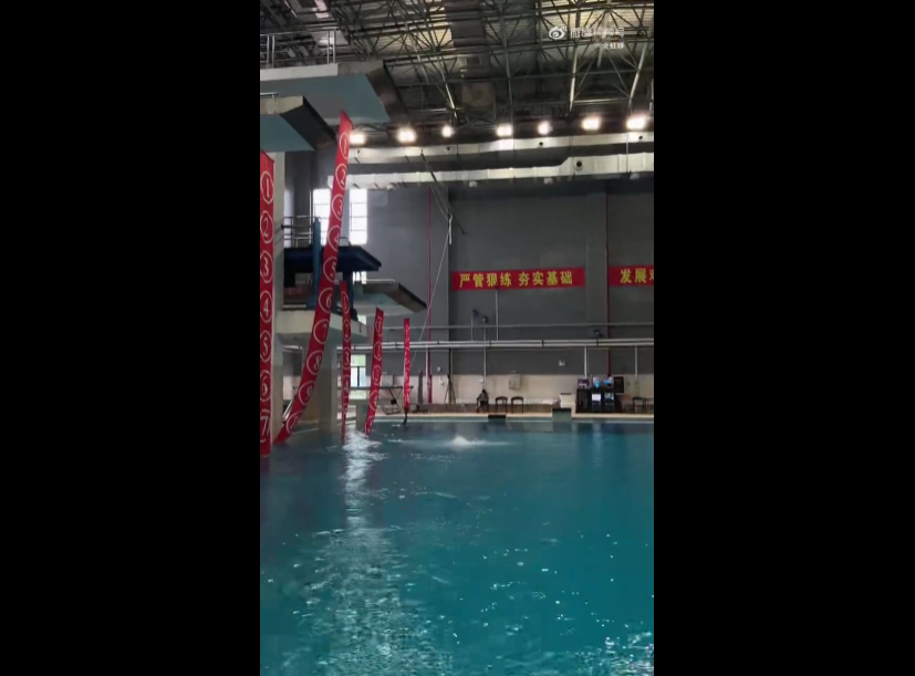 奥运跳水冠, 全运会跳水